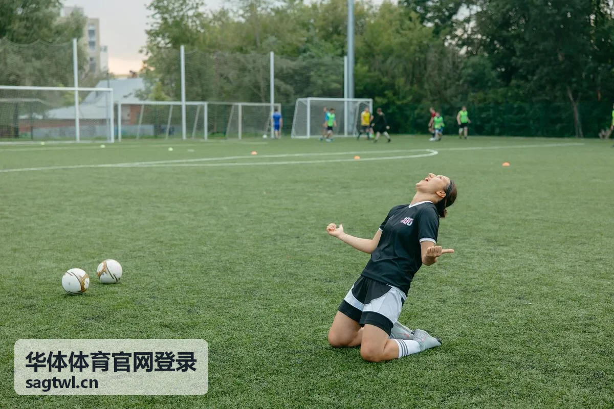 华体体育客户端与设备支持栏目说明示意